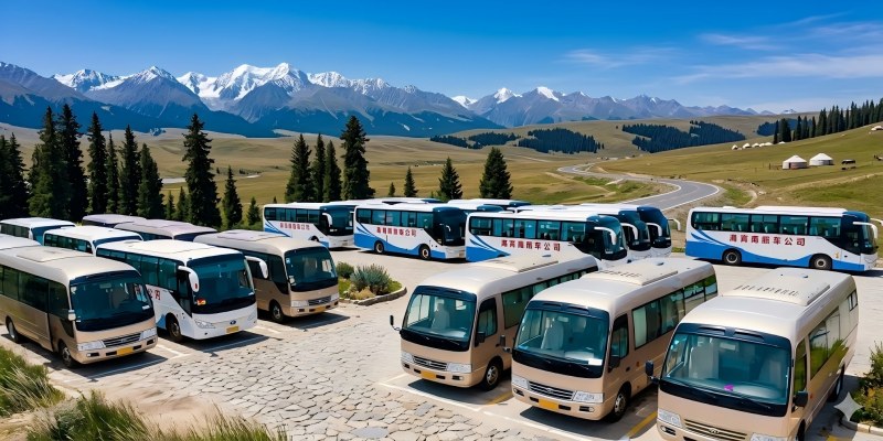 Xinjiang SUV and van fleet